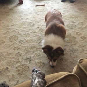 Meet your Posher, William